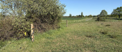 vente Terrain diffus (hors lotissement) Valencay