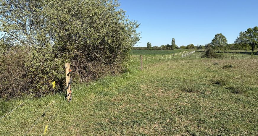 vente Terrain diffus (hors lotissement) Valencay