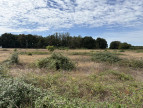 à vendre Terrain agricole Niherne
