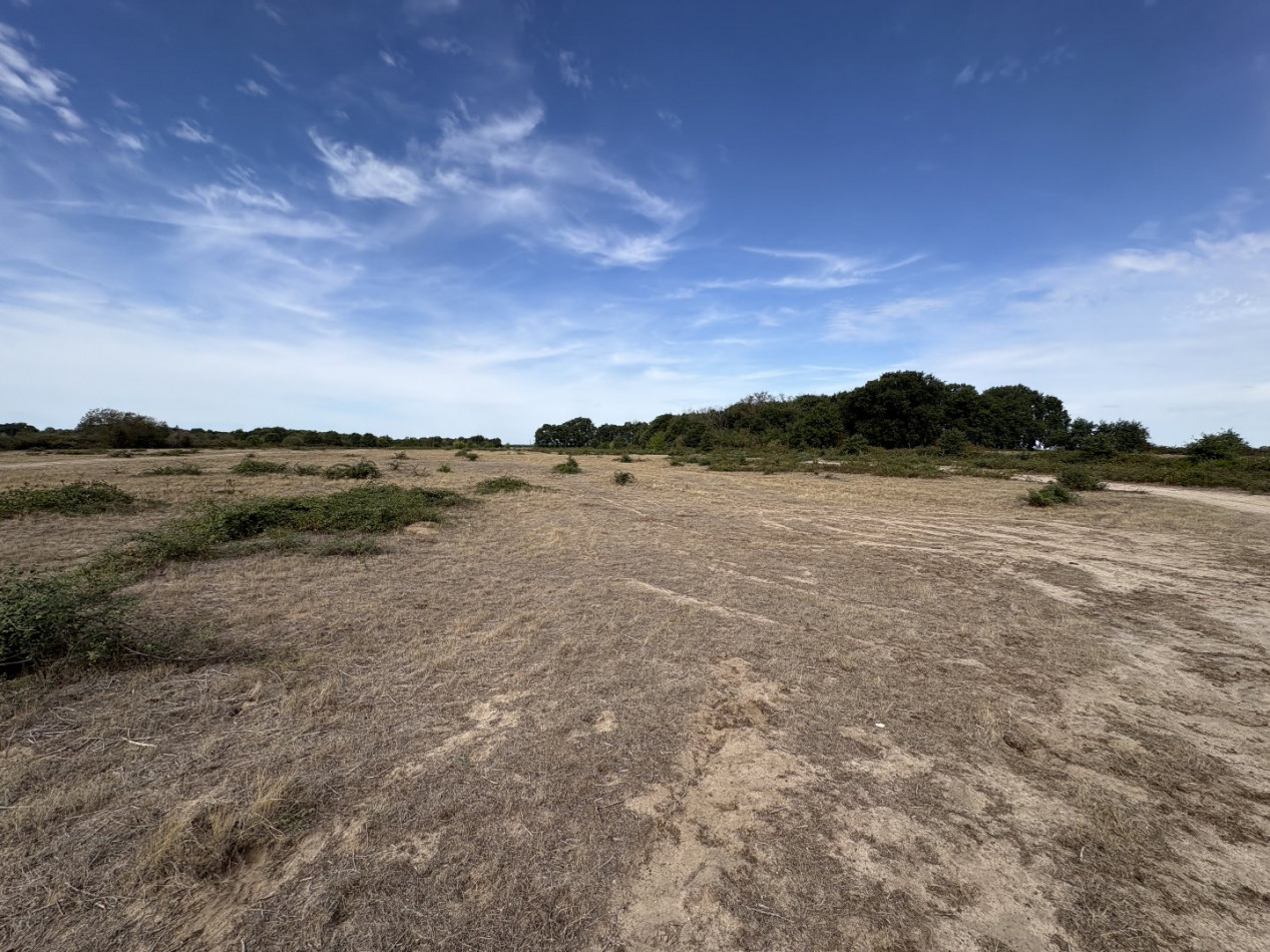à vendre Terrain agricole Niherne - Photo 4