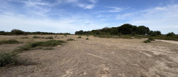 vente Terrain agricole Niherne