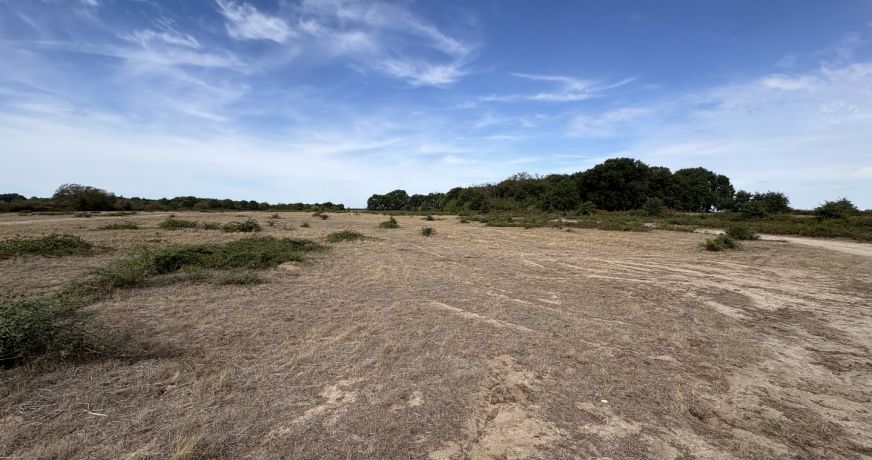 vente Terrain agricole Niherne