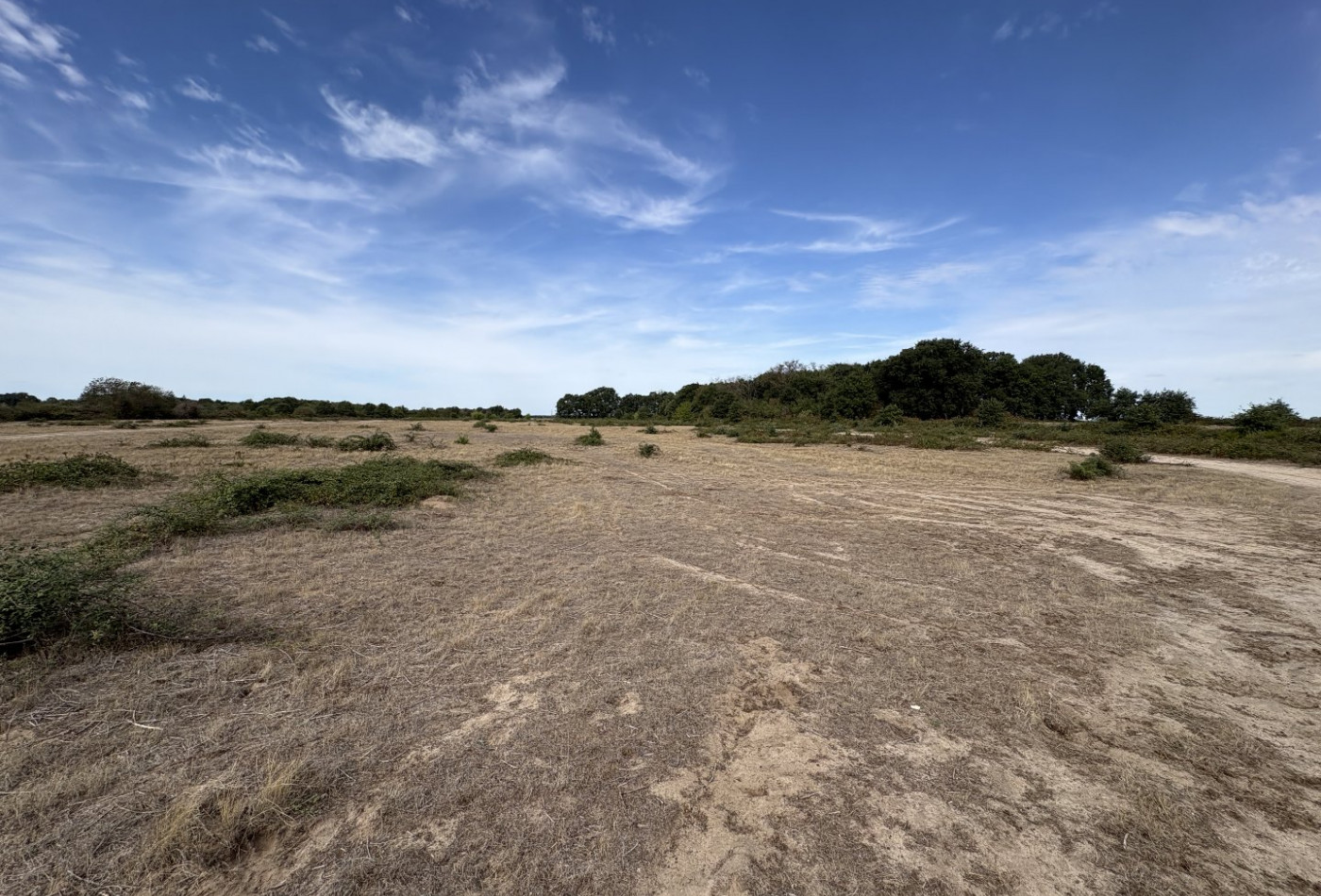 vente Terrain agricole Niherne - Photo 4