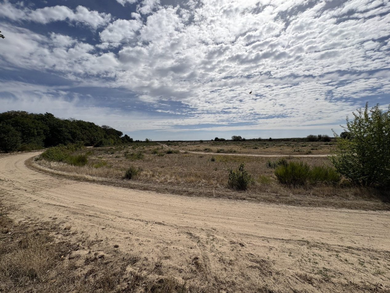à vendre Terrain agricole Niherne - Photo 1