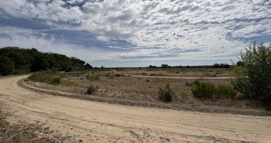 vente Terrain agricole Niherne