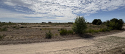vente Terrain agricole Niherne