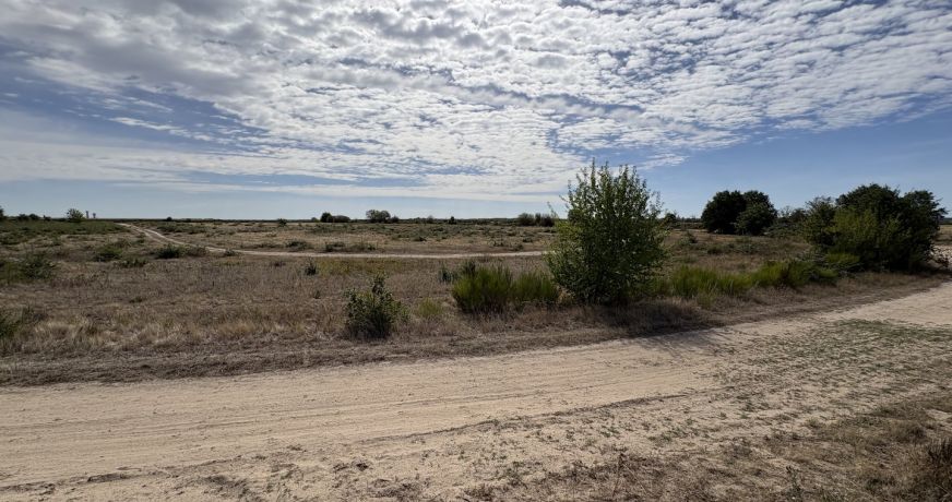 vente Terrain agricole Niherne