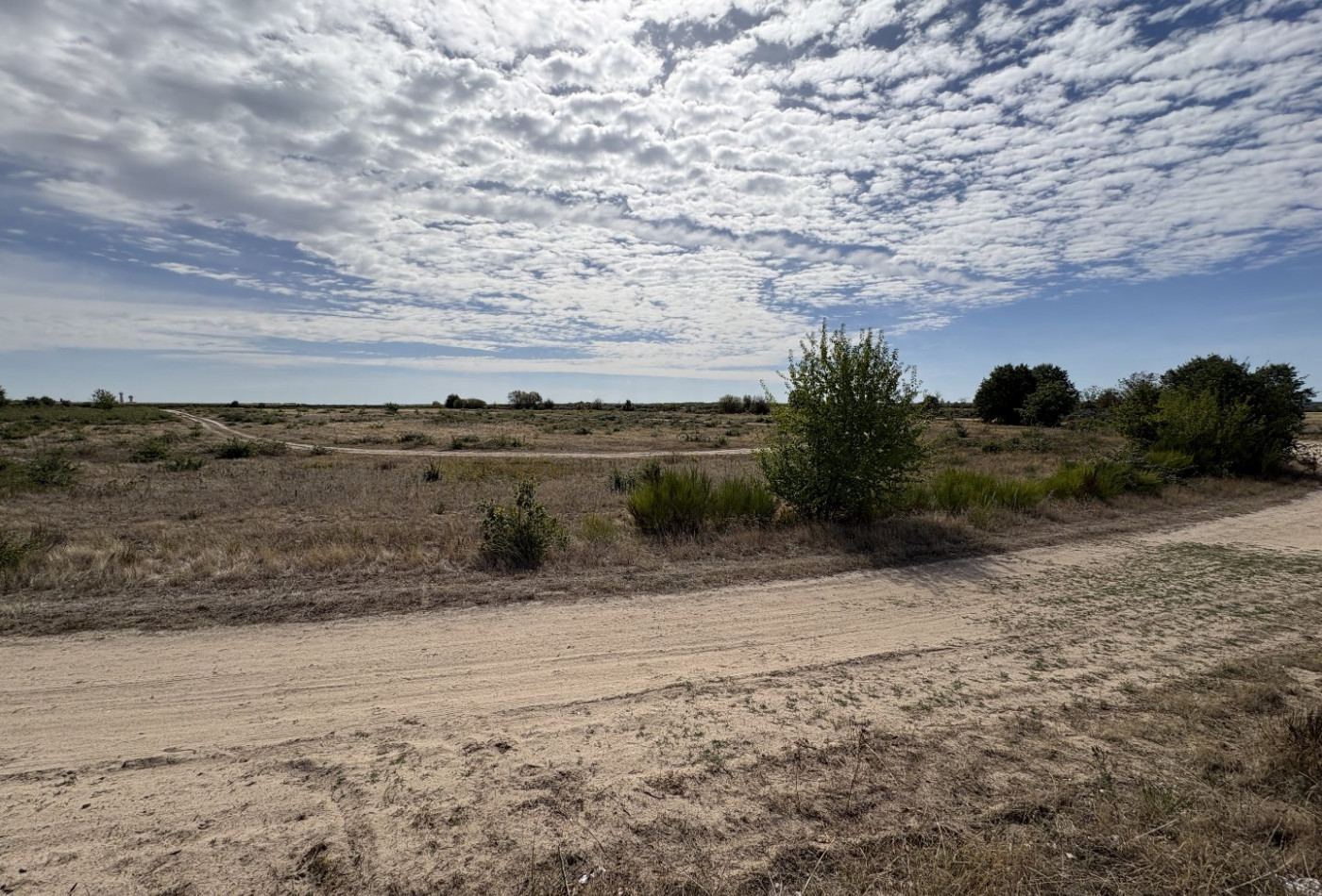 vente Terrain agricole Niherne - Photo 5