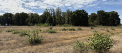 vente Terrain agricole Niherne