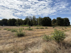 à vendre Terrain agricole Niherne
