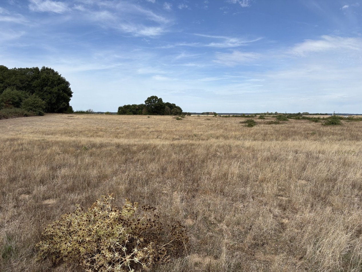 à vendre Terrain agricole Niherne - Photo 10