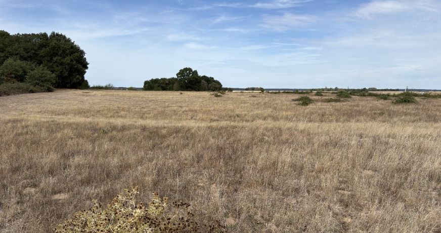 vente Terrain agricole Niherne