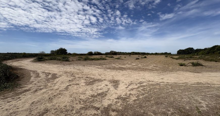 vente Terrain agricole Niherne