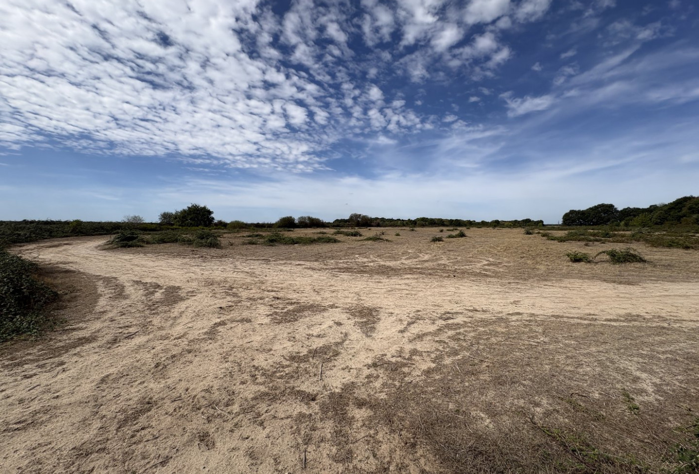 vente Terrain agricole Niherne - Photo 2