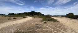 vente Terrain agricole Niherne