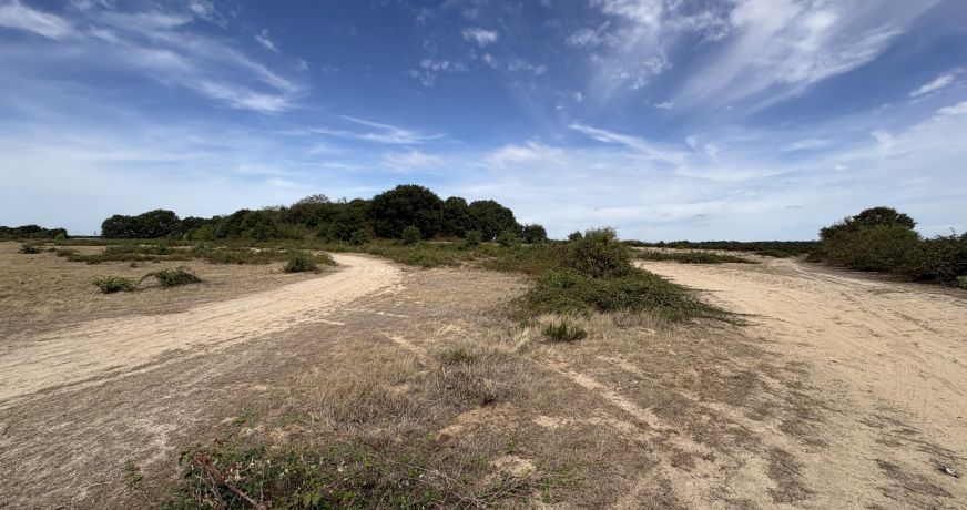 vente Terrain agricole Niherne
