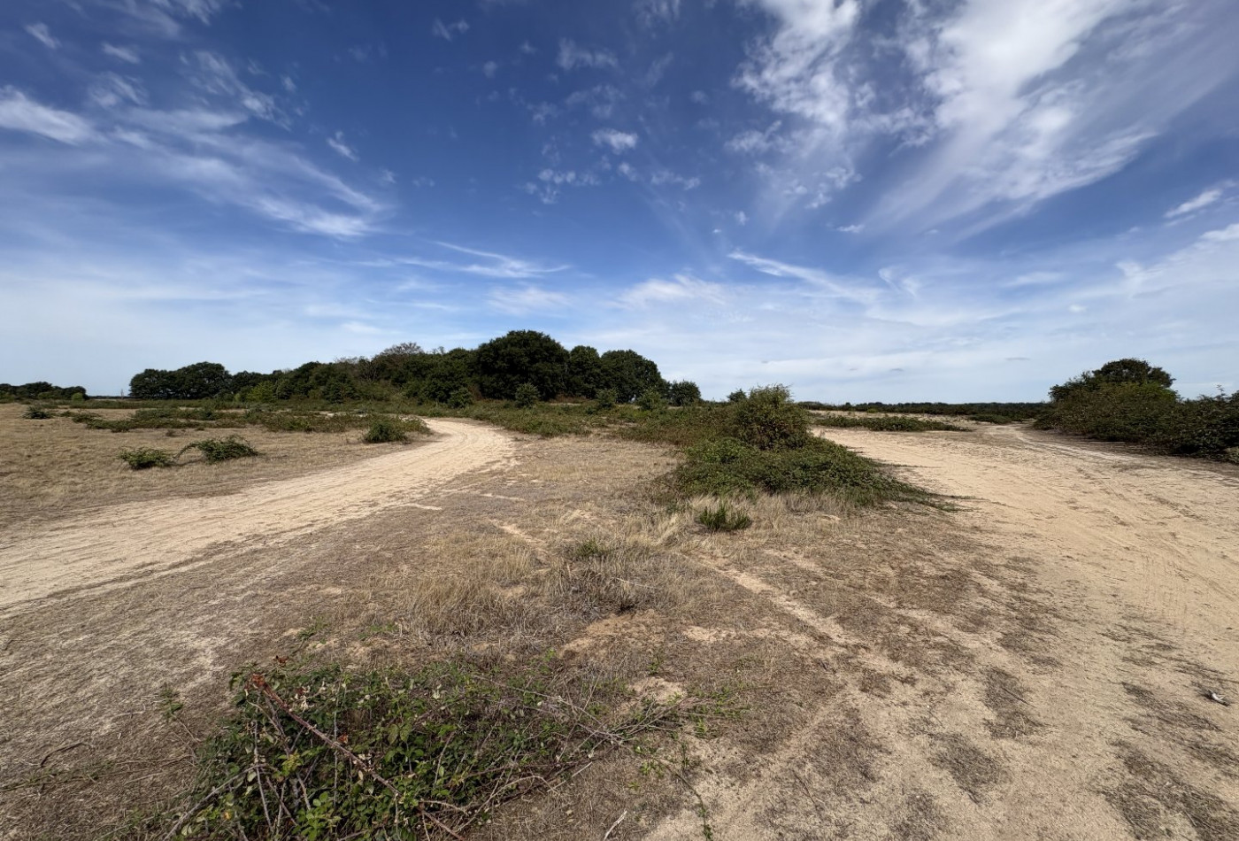 vente Terrain agricole Niherne - Photo 8