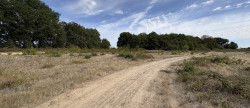 vente Terrain agricole Niherne