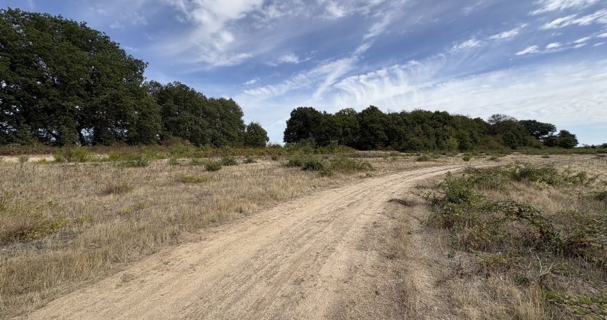 vente Terrain agricole Niherne