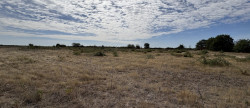 vente Terrain agricole Niherne