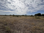 à vendre Terrain agricole Niherne