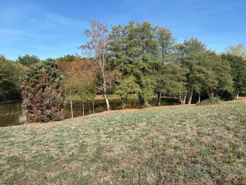 vente Etang Genouillac - Photo 7
