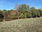 à vendre Etang Genouillac