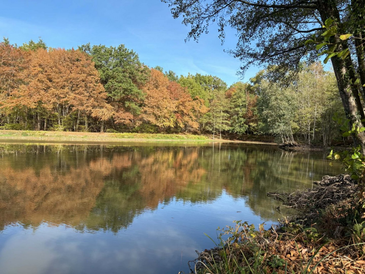 à vendre Etang Genouillac - Photo 2