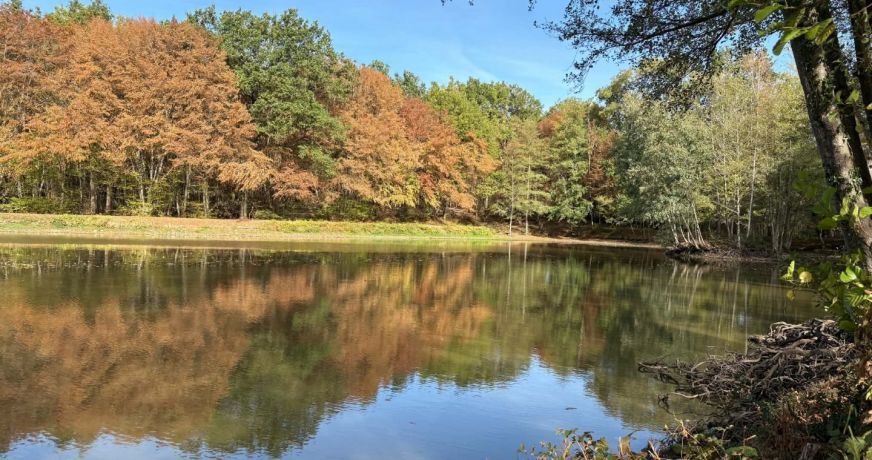 vente Etang Genouillac
