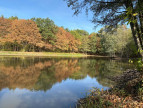 vente Etang Genouillac