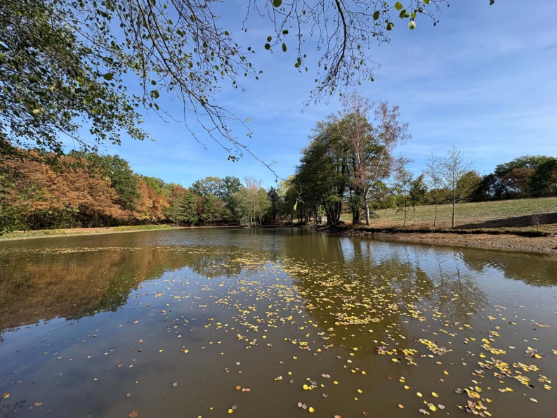 vente Etang Genouillac - Photo 6