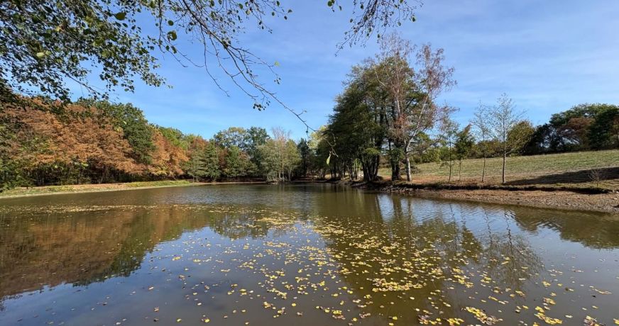 vente Etang Genouillac