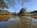 vente Etang Genouillac