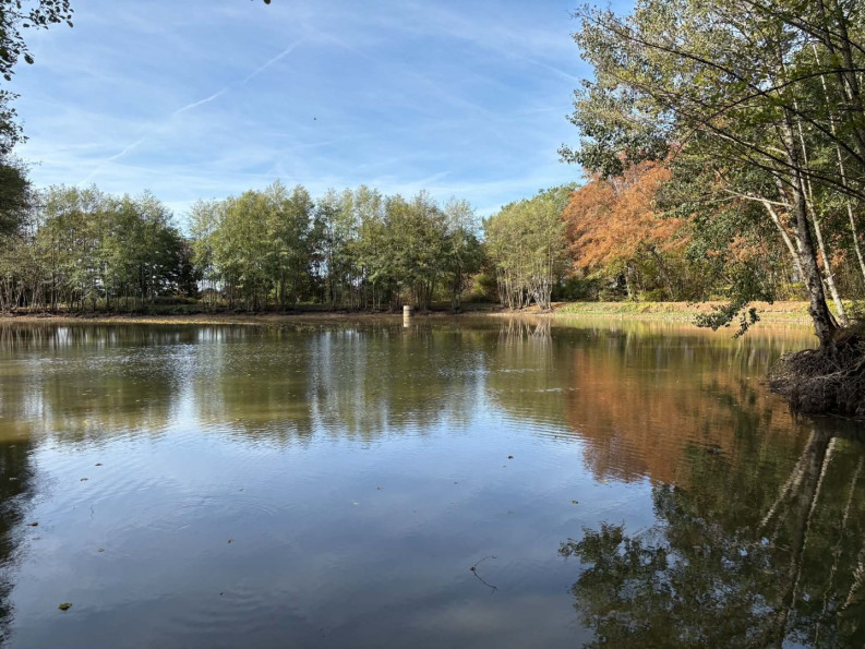 vente Etang Genouillac - Photo 8