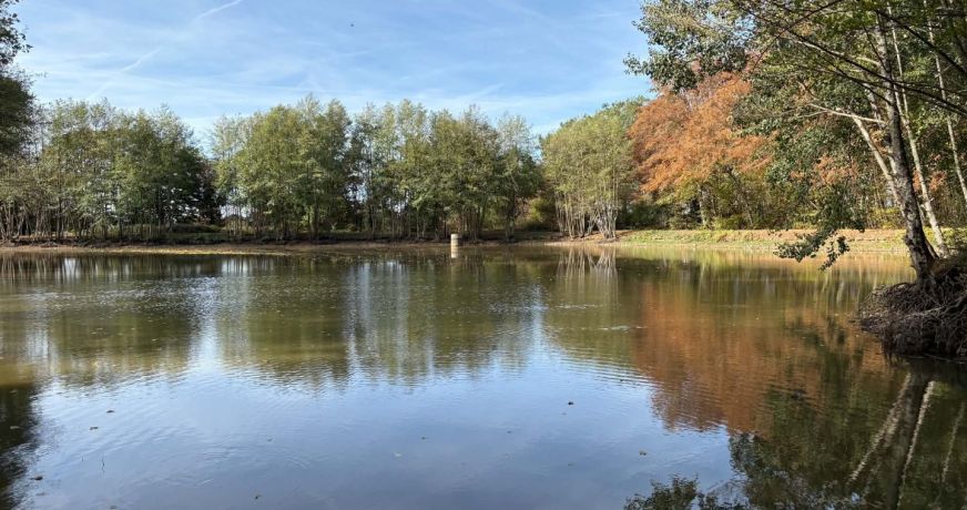 vente Etang Genouillac