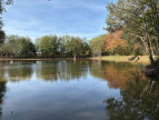 vente Etang Genouillac