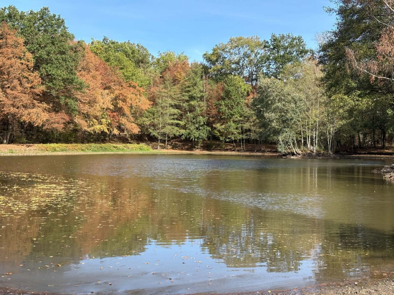 vente Etang Genouillac - Photo 10