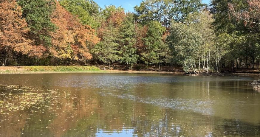 vente Etang Genouillac