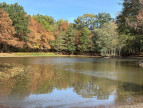 vente Etang Genouillac