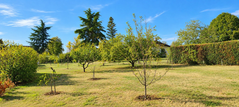 vente Terrain constructible Saint Doulchard - Photo 2