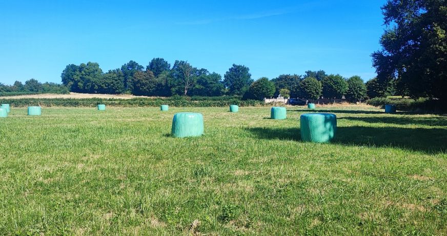 vente Terrain agricole Bannegon
