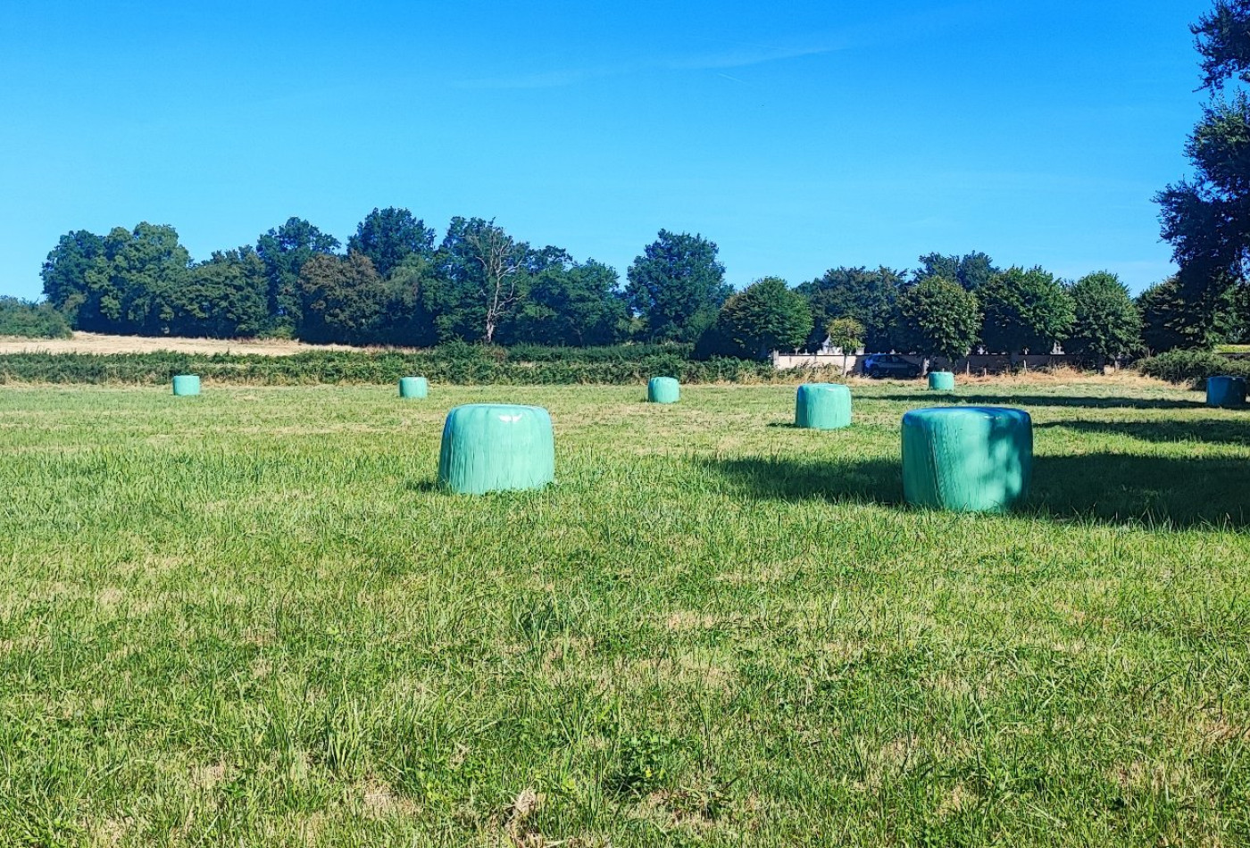 vente Terrain agricole Bannegon - Photo 1