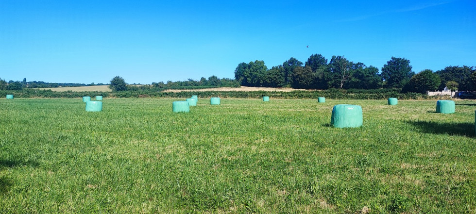 vente Terrain agricole Bannegon - Photo 2