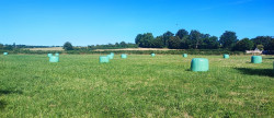 vente Terrain agricole Bannegon