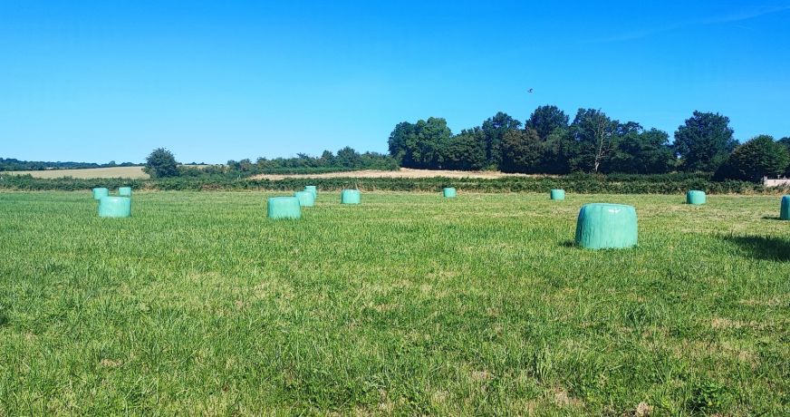 vente Terrain agricole Bannegon