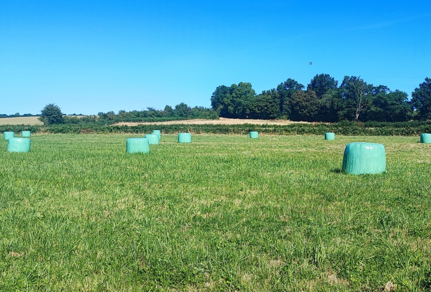vente Terrain agricole Bannegon - Photo 2