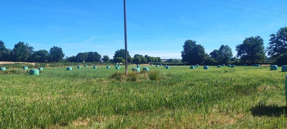 vente Terrain agricole Bannegon - Photo 3