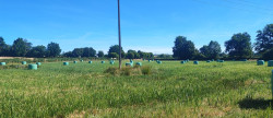 vente Terrain agricole Bannegon