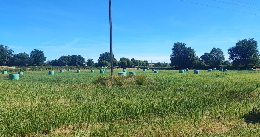 vente Terrain agricole Bannegon