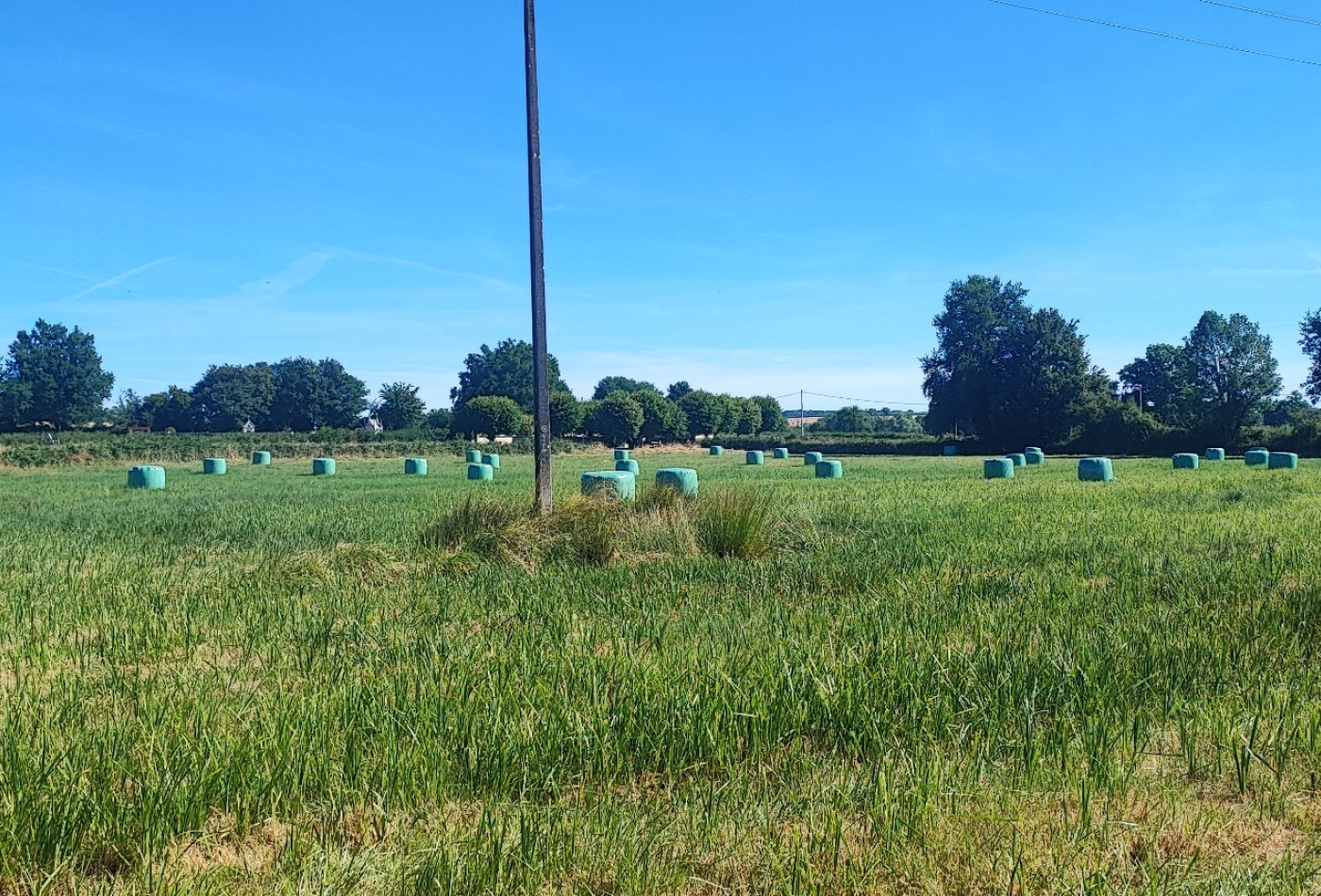 vente Terrain agricole Bannegon - Photo 3